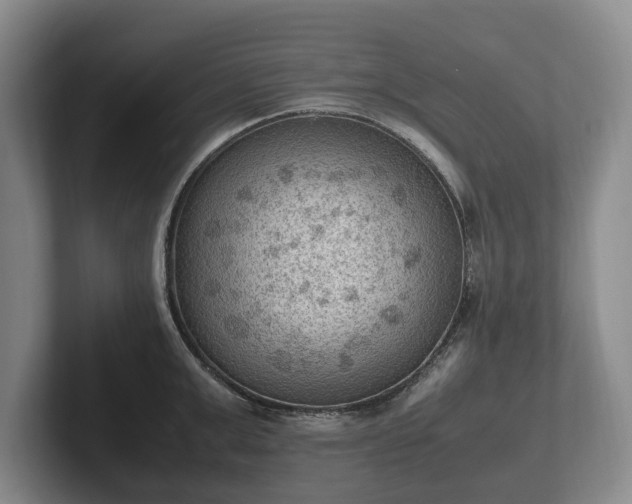 X0000102390999200808081223