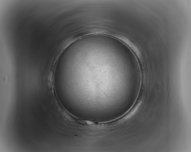 X0000102391001200808081223