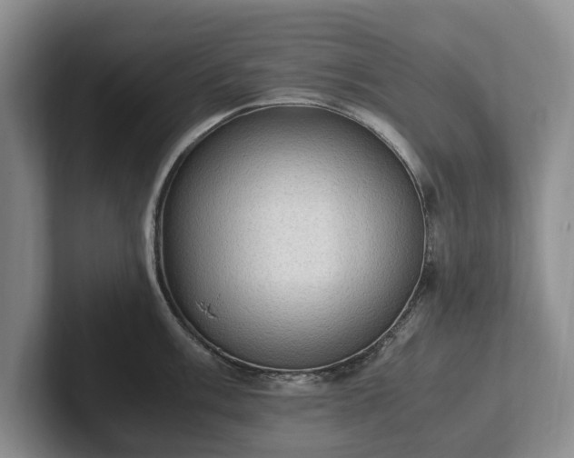 X0000102391003200808081223