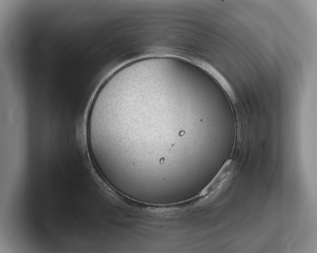 X0000102391004200808081223