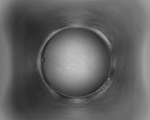 X0000102391005200808081223