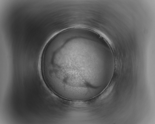 X0000102391007200808081223