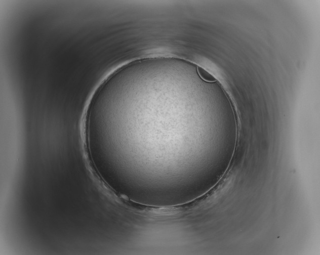 X0000102391008200808081223