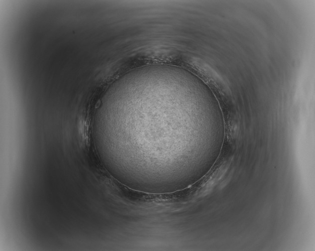 X0000102391010200808081223