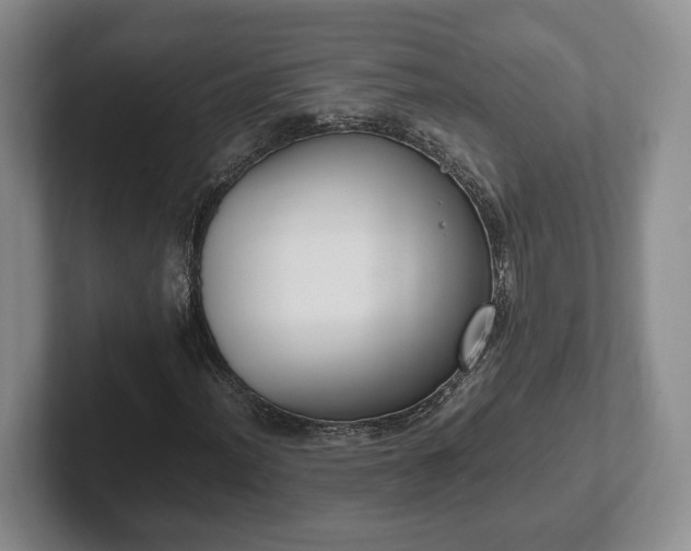 X0000102391012200808081223