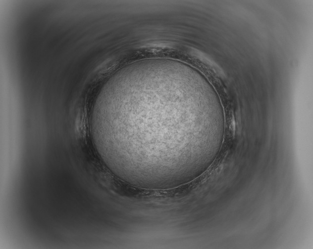 X0000102391014200808081223