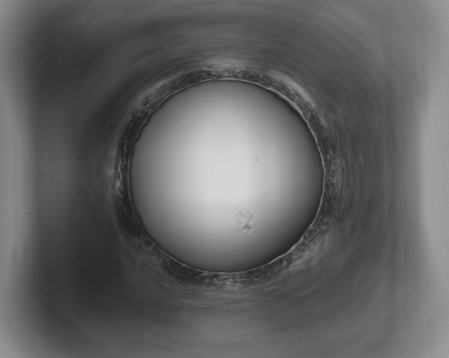 X0000102391016200808081223