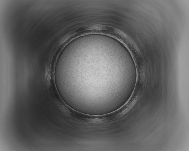 X0000102391017200808081223