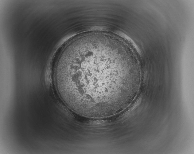 X0000102391019200808081223