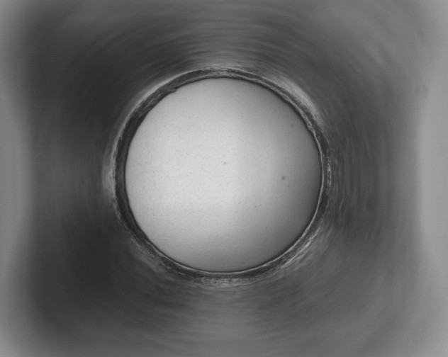 X0000102391020200808081223