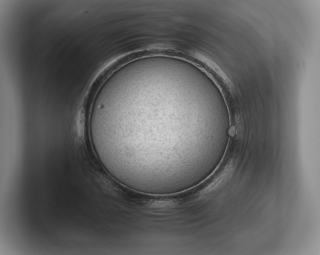 X0000102391021200808081223