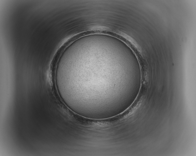 X0000102391022200808081223