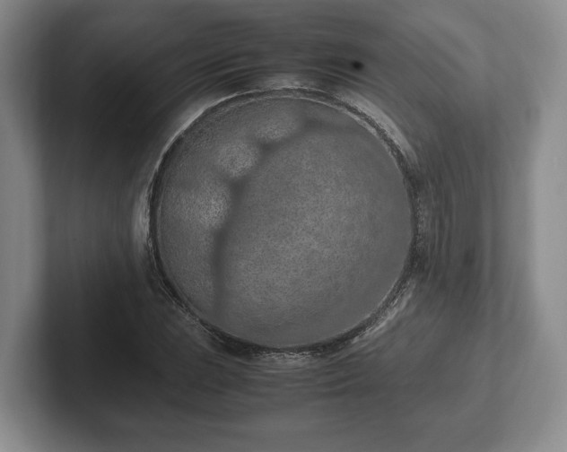 X0000102391023200808081223