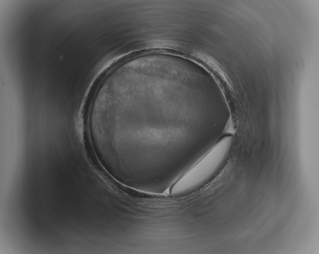 X0000102391024200808081223