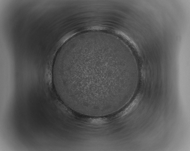 X0000102391025200808081223