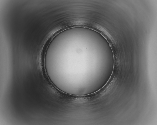 X0000102391026200808081223