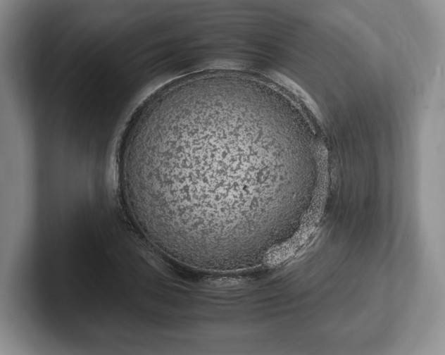 X0000102391027200808081223