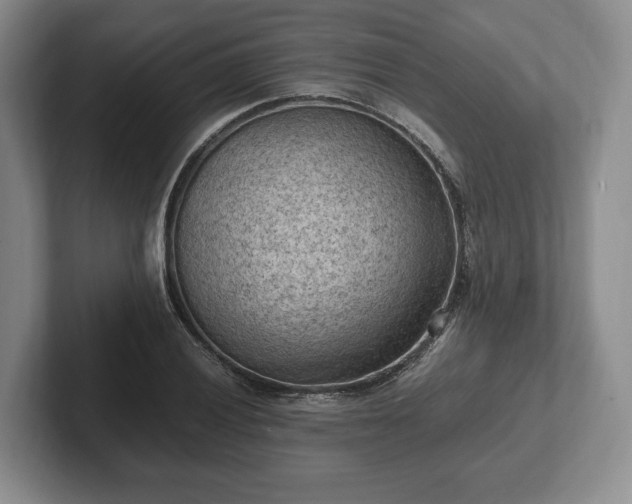 X0000102391028200808081223