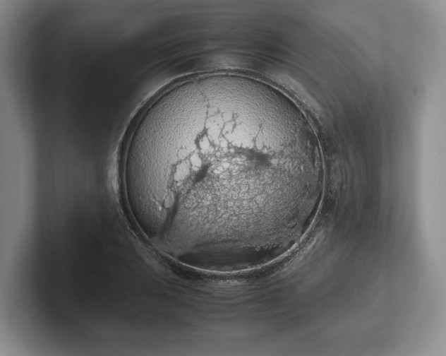 X0000102391031200808081223