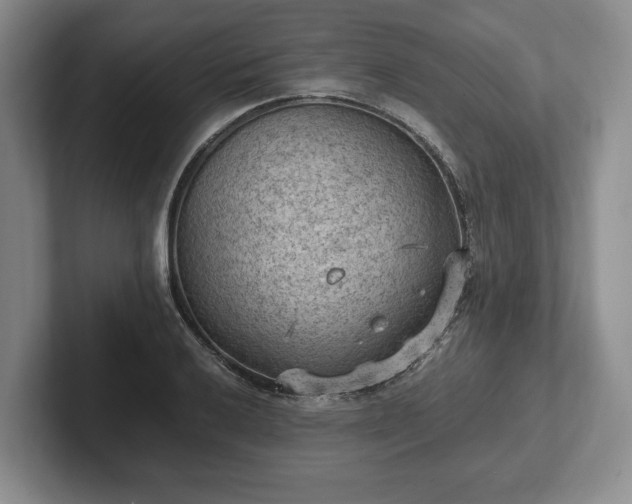 X0000102391032200808081223