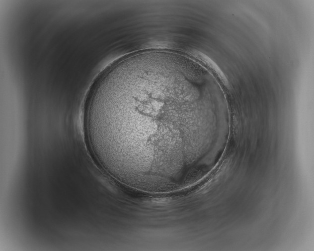 X0000102391035200808081223