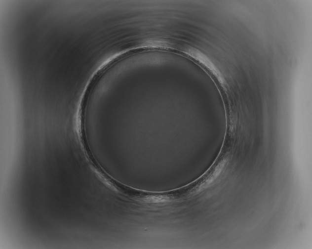 X0000102391037200808081223