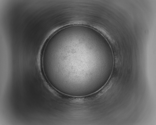 X0000102391038200808081223