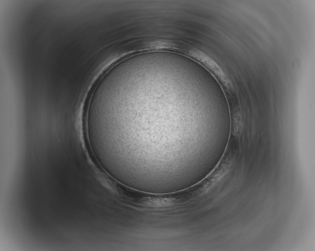 X0000102391039200808081223