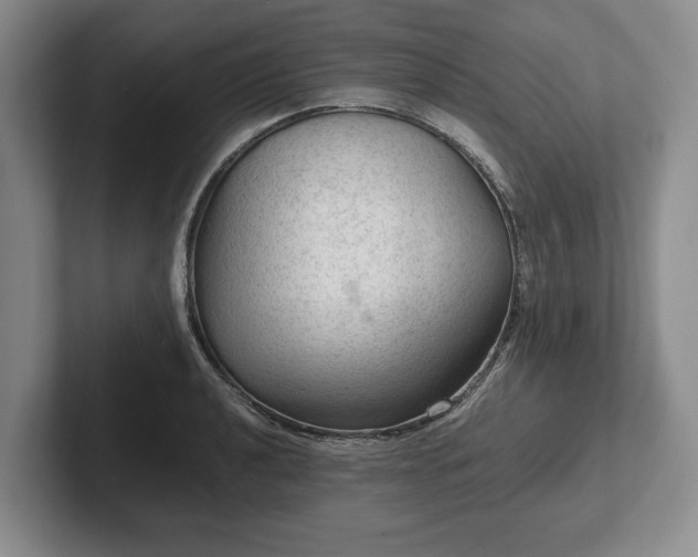 X0000102391040200808081223