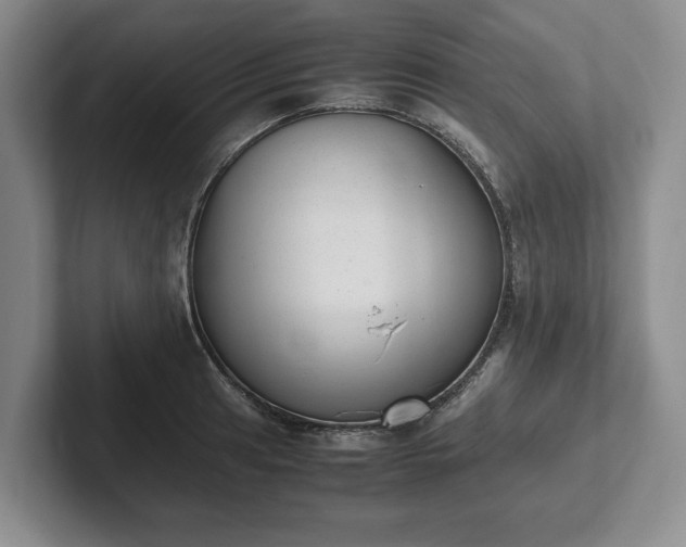 X0000102391041200808081223