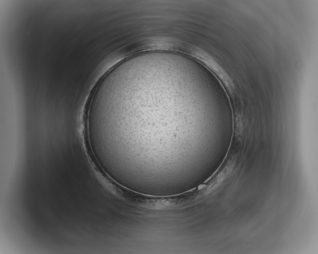 X0000102391042200808081223