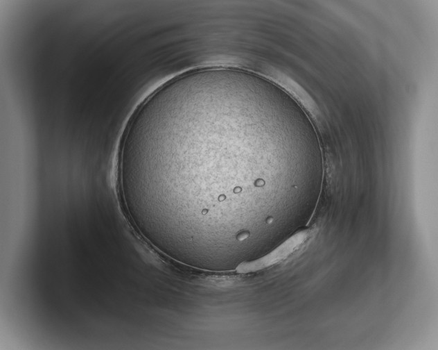 X0000102391044200808081223