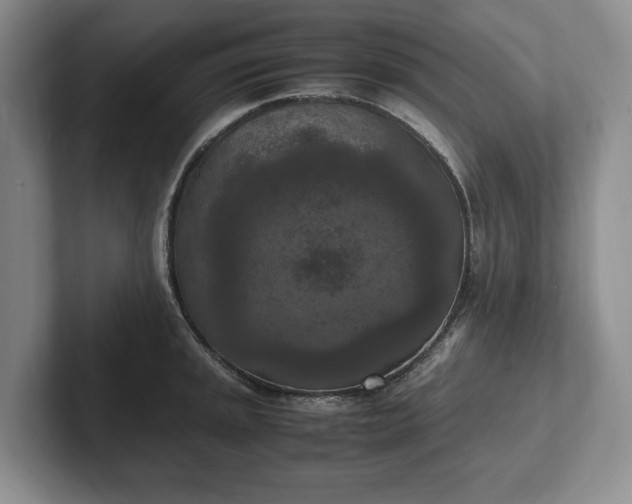 X0000102391045200808081223