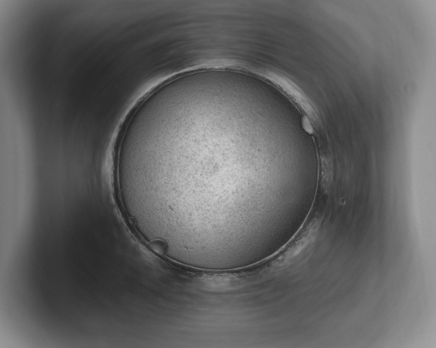 X0000102391046200808081223