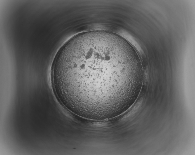 X0000102391047200808081223