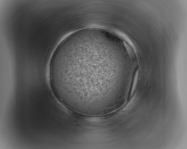 X0000102391048200808081223