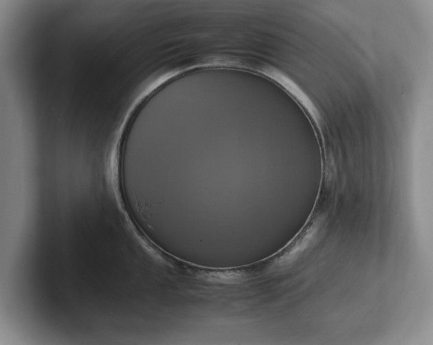 X0000102391053200808081223