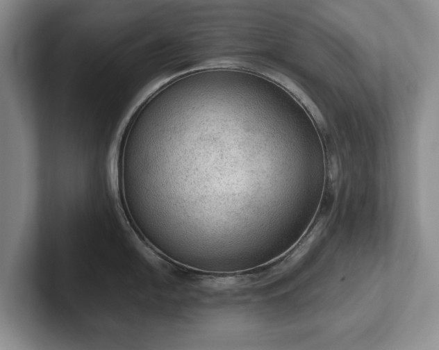 X0000102391054200808081223