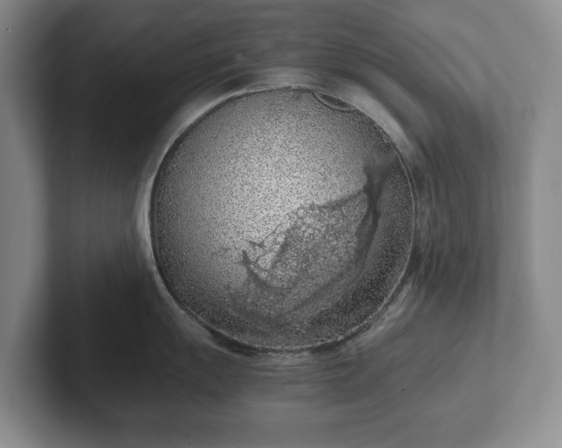 X0000102391055200808081223