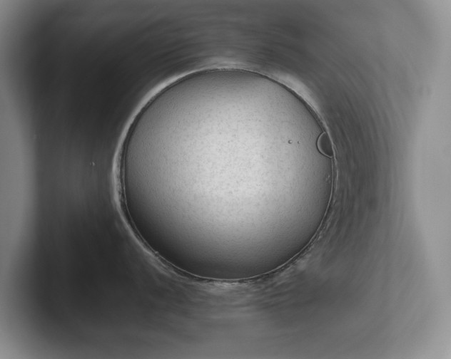 X0000102391056200808081223