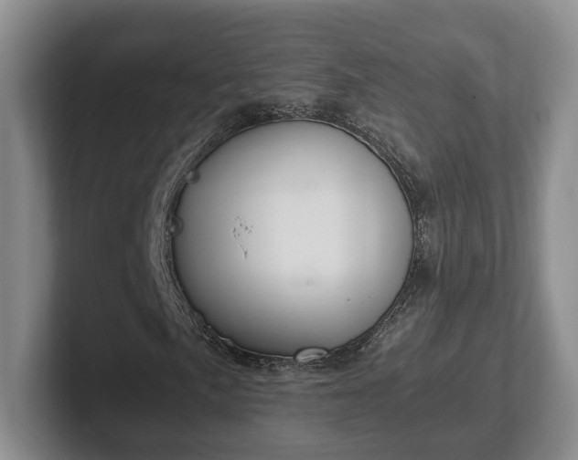 X0000102391057200808081223