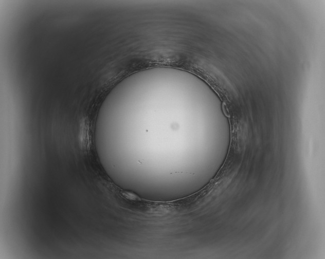 X0000102391058200808081222