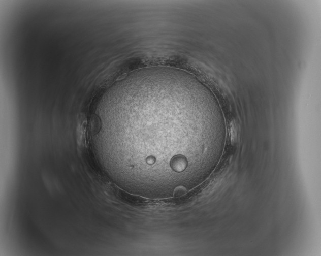 X0000102391059200808081222