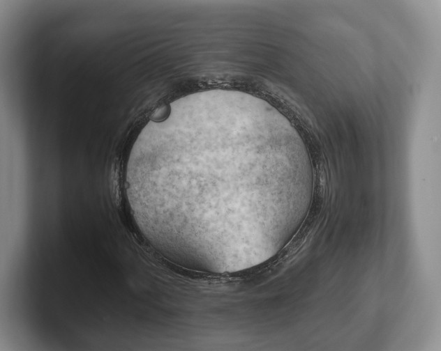 X0000102391060200808081222