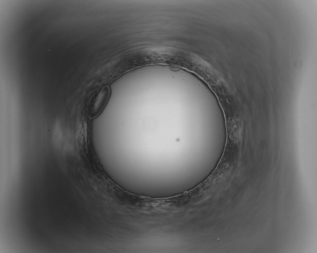 X0000102391061200808081222