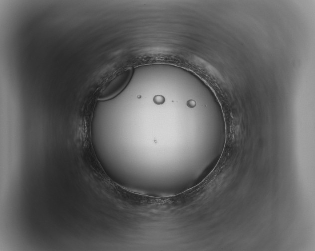 X0000102391062200808081222