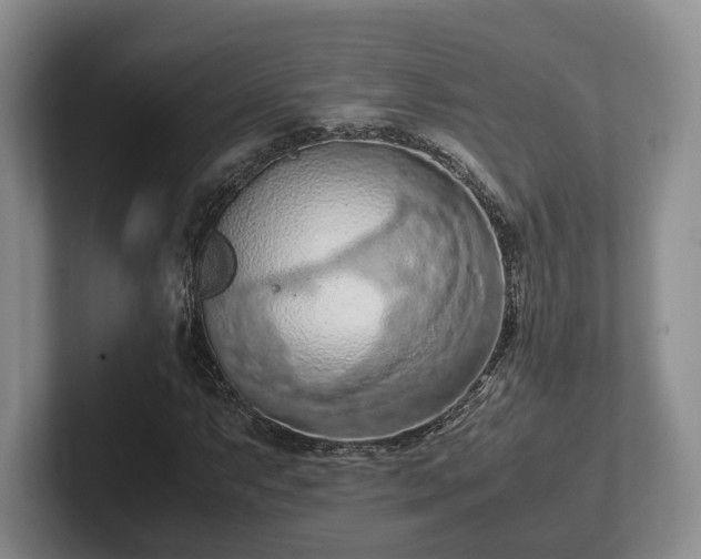 X0000102391063200808081222