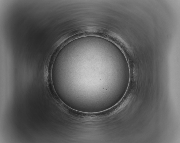 X0000102391065200808081222