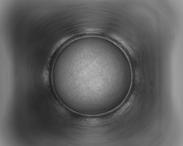 X0000102391066200808081222