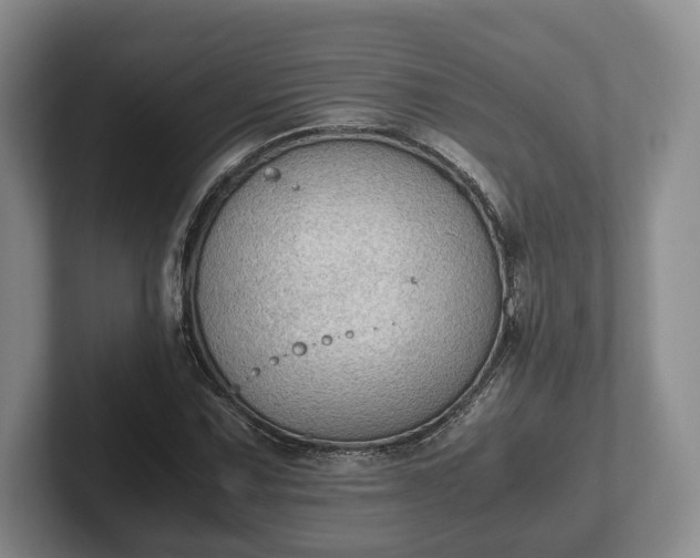 X0000102391067200808081222